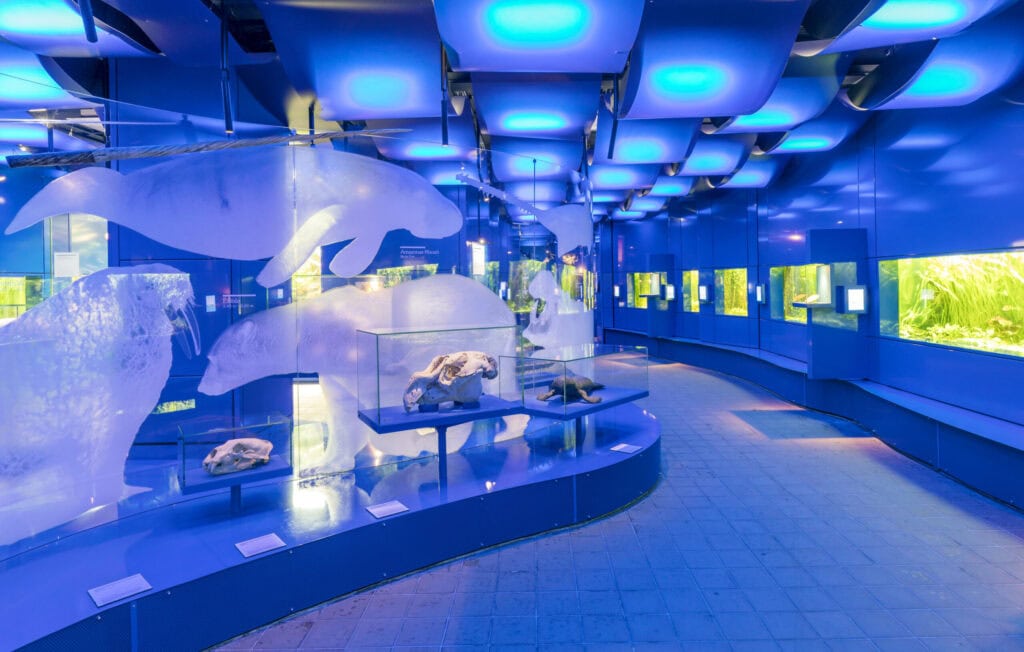 Landesmuseum Tiefseewelten