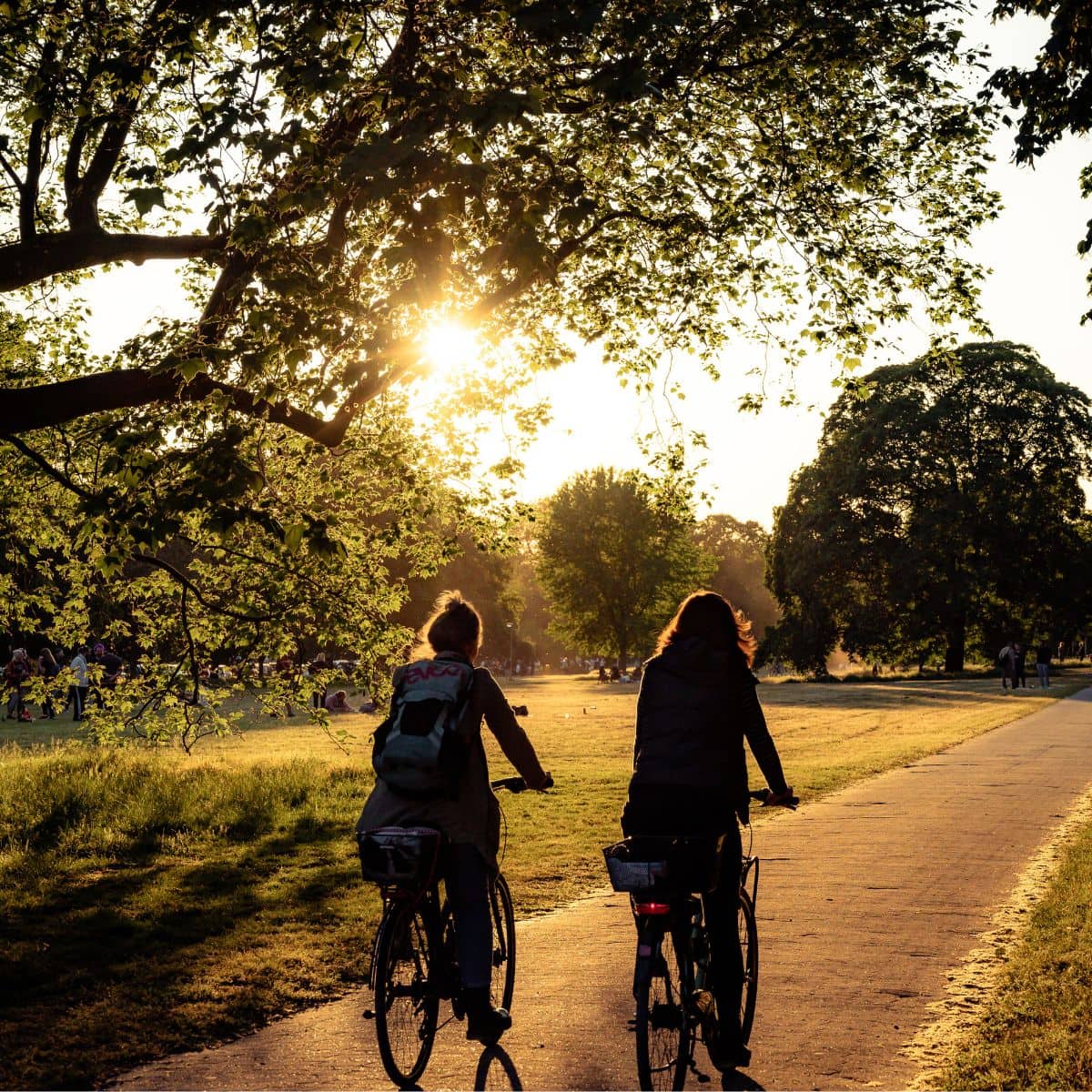Zwei Radfahrerinnen bei Sonnenuntergang auf einem Parkweg, umgeben von Bäumen und warmem Licht.