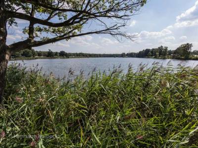 Sonnensee3
