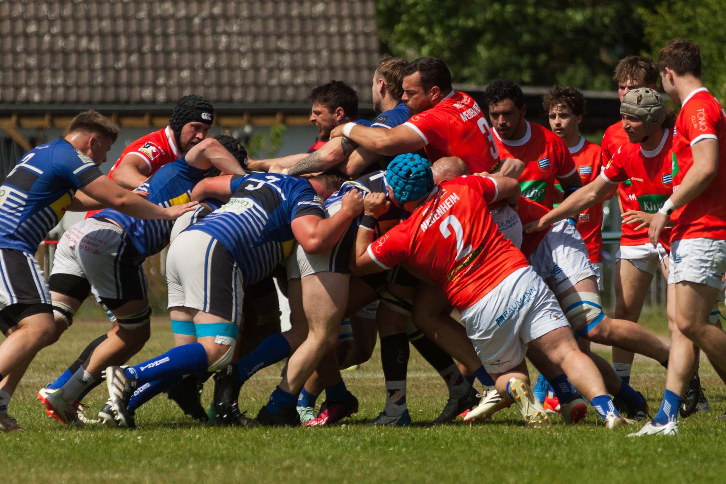 rugby