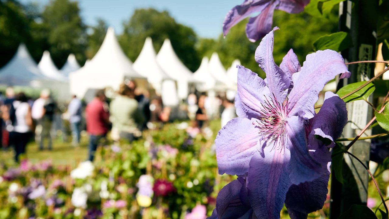 Gartenfestival Herrenhausen