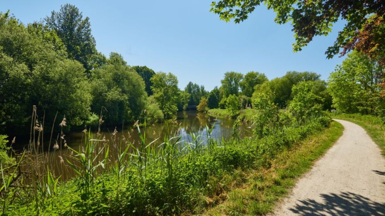 Sonniger Radweg an einem Flussufer, umgeben von dichtem Grün und spiegelndem Wasser im Sommer.